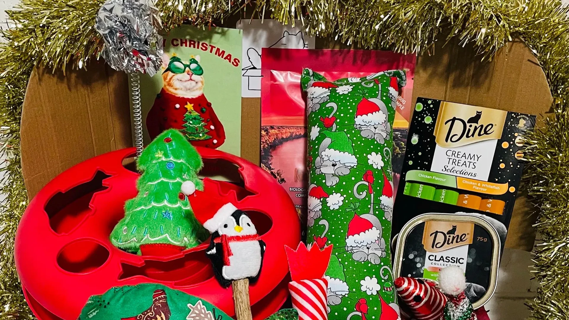 Can you help Christmas come for our animals?