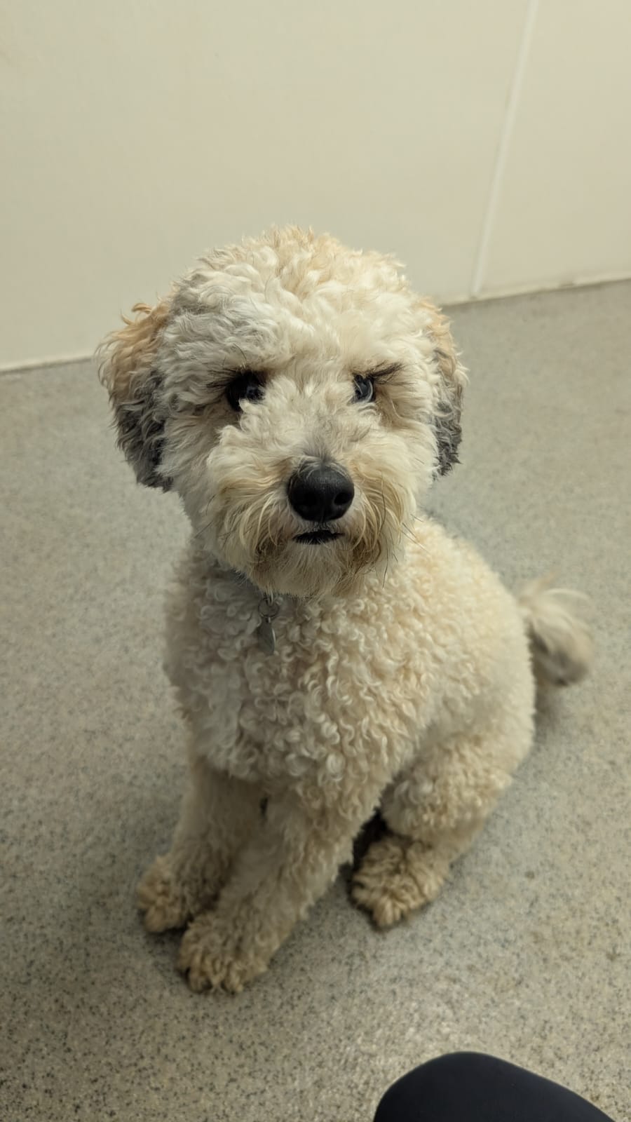 Photo of Walter - Wally