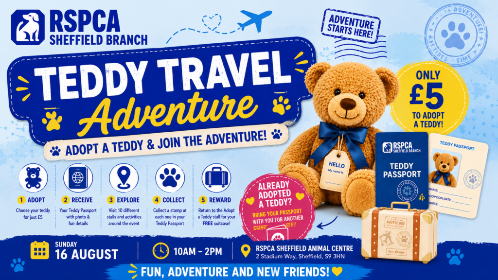 Adopt a Teddy